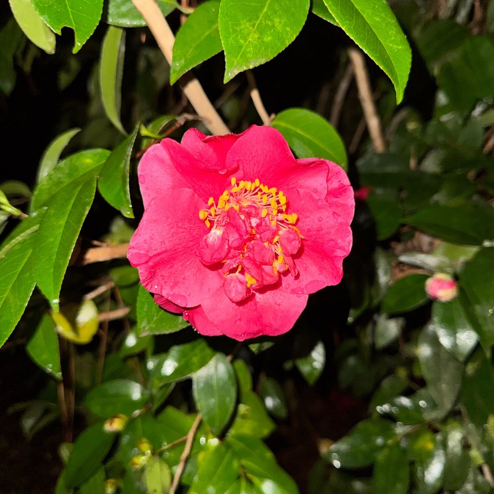 Meet your Posher, April